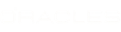 logo light